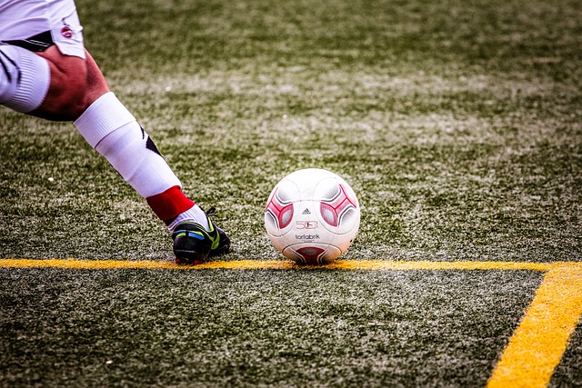 也体现了绿 也体现了绿