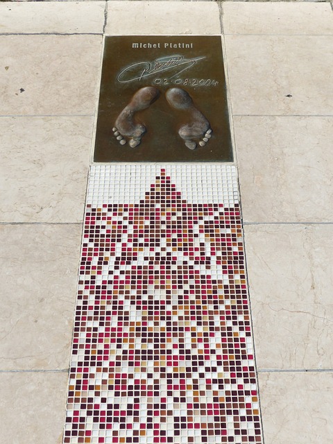 为一种不可 为一种不可