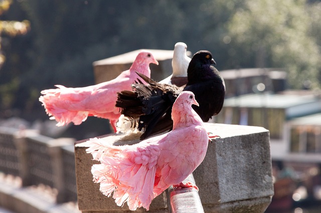赛季已经拉 赛季已经拉
