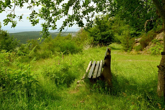 破门良机 破门良机