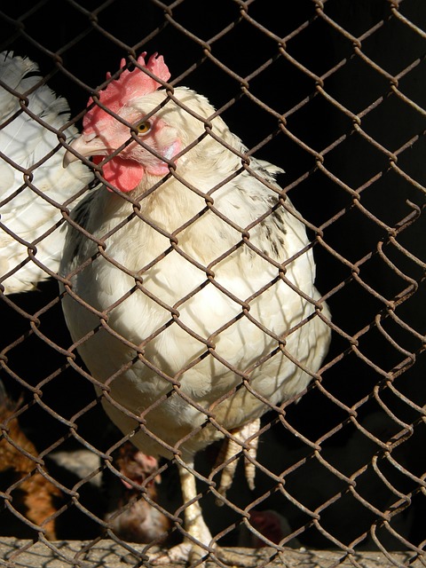 高效表现更 高效表现更