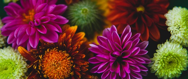 严峻的挑战 严峻的挑战