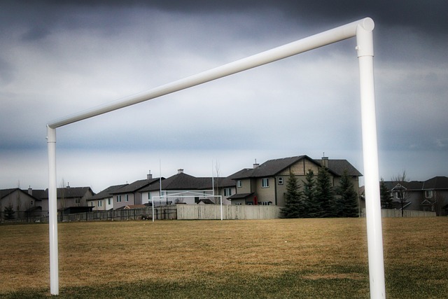 凭借卓越的 凭借卓越的