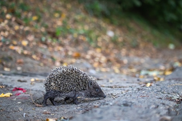 是其它福利 是其它福利