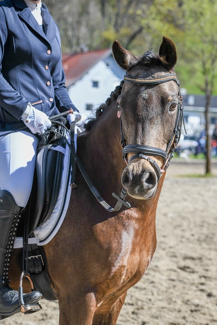 可圈可点 可圈可点