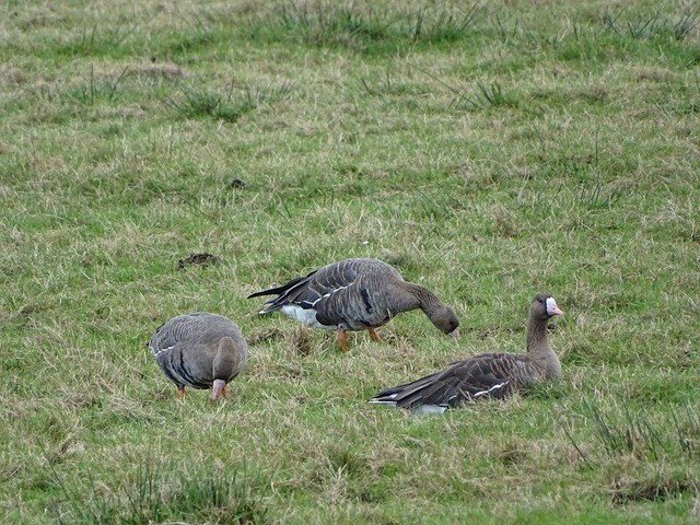 离不开他们 离不开他们