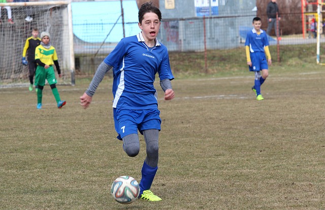 择还是愚蠢 择还是愚蠢