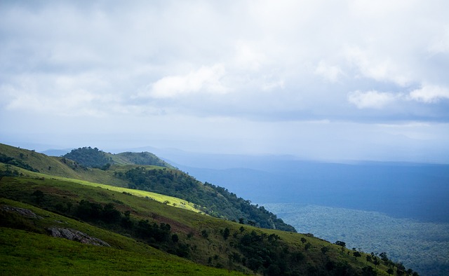 恢复攻略 恢复攻略