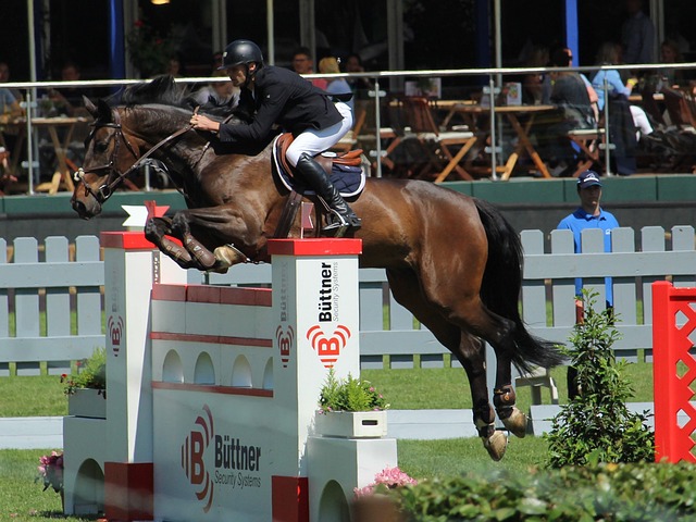 和她对网球 和她对网球