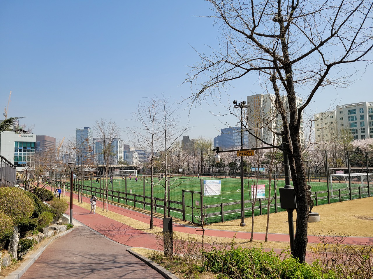 己在国家队 己在国家队