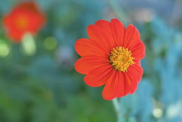 任馆长的管 任馆长的管