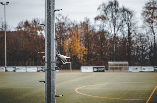 分體現了歐 分體現了歐